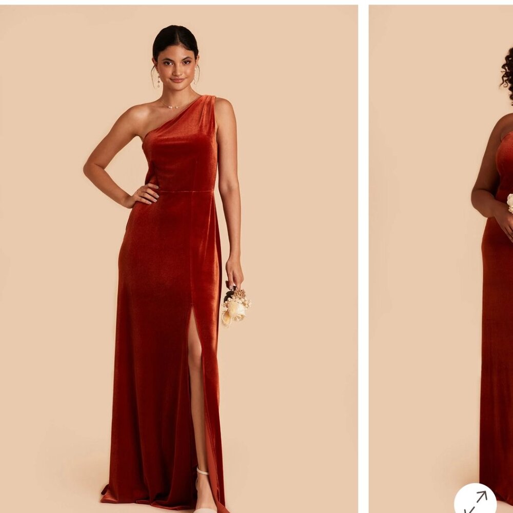 Birdy Grey Kira Dres in burnt orange